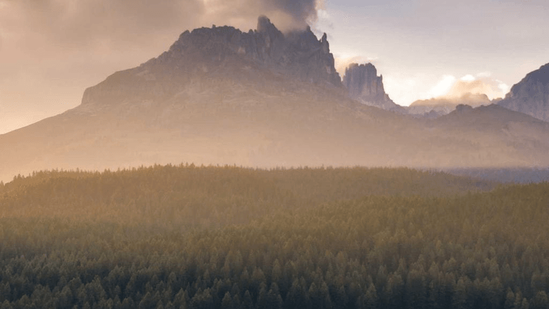 Gamepad - professional stock photography